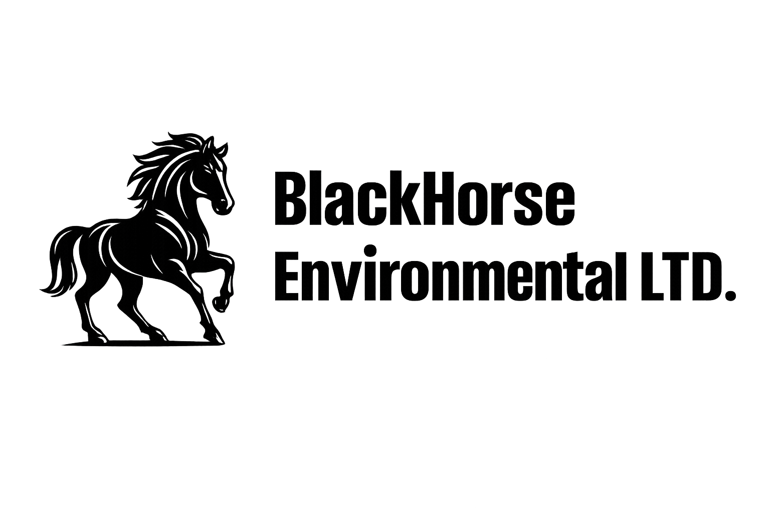 BLACKHORSE ENVIRONMENTAL LTD.